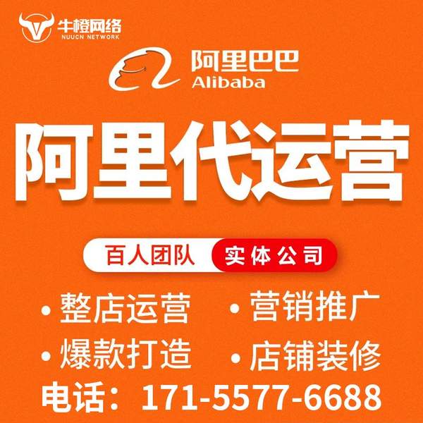 益阳电商代运营