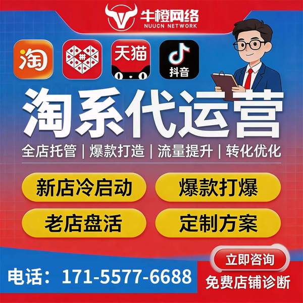 益阳电商代运营