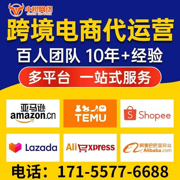益阳电商代运营