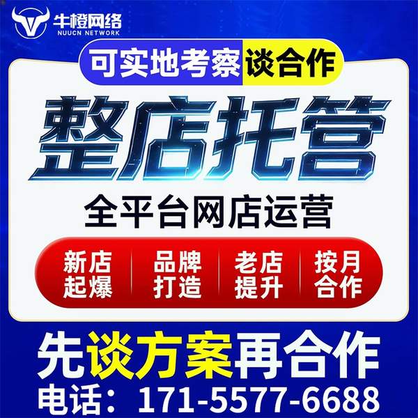 益阳电商代运营