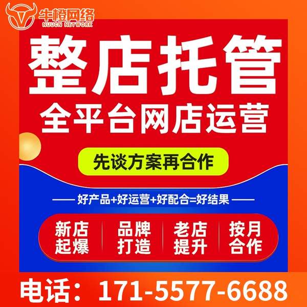 益阳电商代运营