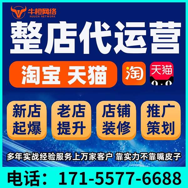 益阳电商代运营