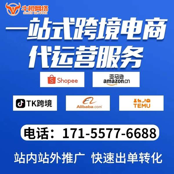 益阳电商代运营