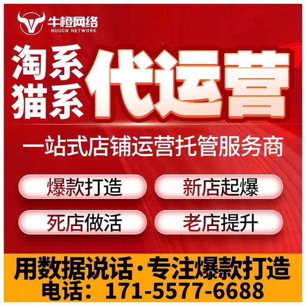 益阳电商代运营